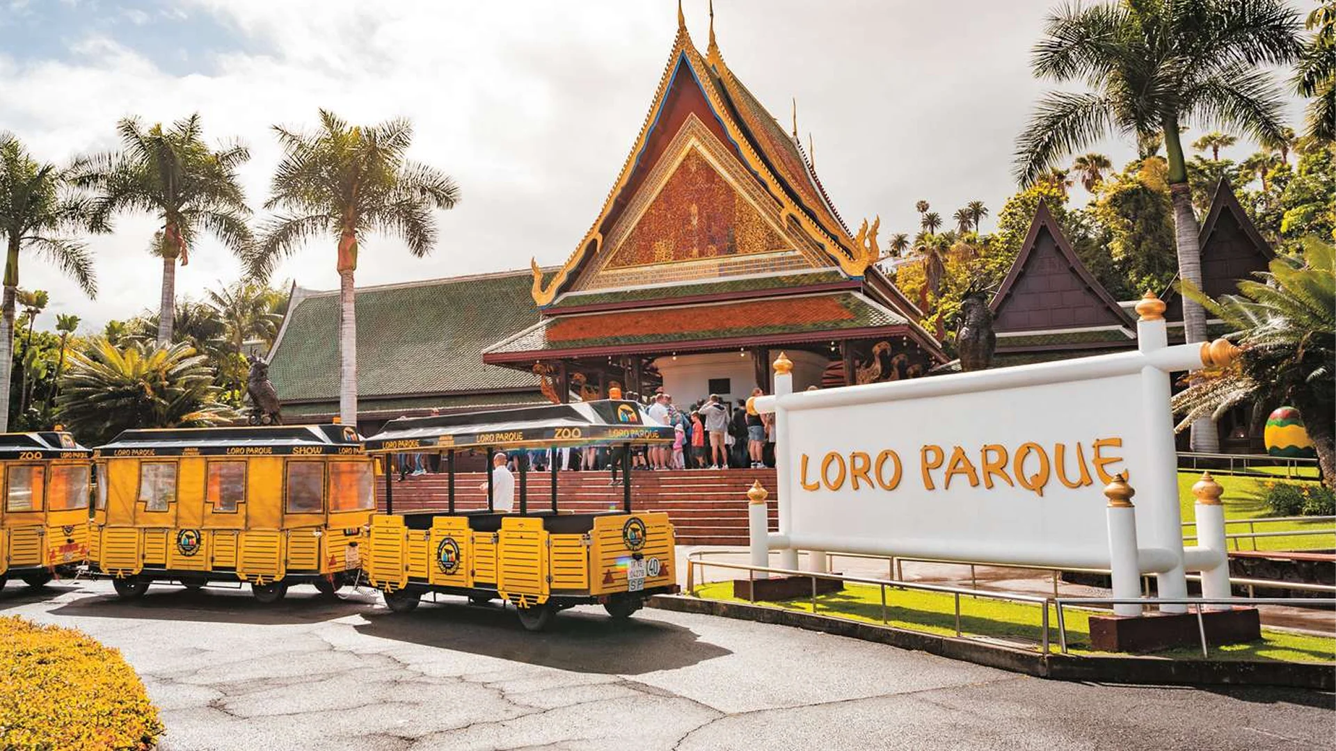 Лоро Парк Тенеріфе – Відкрийте серце природного дива острова