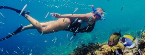 Плавання за течією: Глибоке занурення в місця для снорклінгу на Тенеріфе